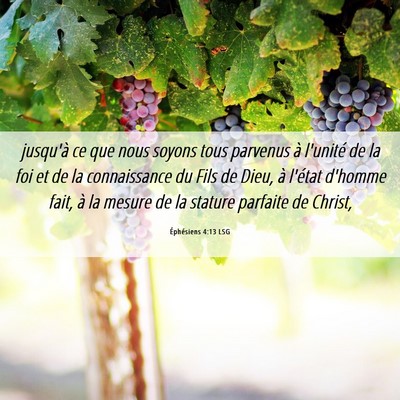 Picture 06 - Éphésiens 4:13 LSG - jusqu'à ce que nous soyons tous parvenus à - Bible Verse Picture