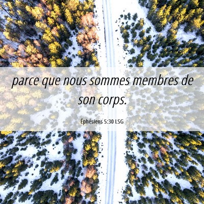 Picture 06 - Éphésiens 5:30 LSG - parce que nous sommes membres de son - Bible Verse Picture