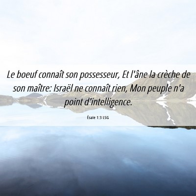 Picture 06 - Ésaïe 1:3 LSG - Le boeuf connaît son possesseur, Et l'âne la - Bible Verse Picture