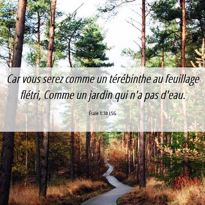Picture 06 - Ésaïe 1:30 LSG - Car vous serez comme un térébinthe au feuillage - Bible Verse Picture