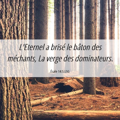 Picture 06 - Ésaïe 14:5 LSG - L'Eternel a brisé le bâton des méchants, La - Bible Verse Picture