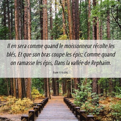 Picture 06 - Ésaïe 17:5 LSG - Il en sera comme quand le moissonneur récolte - Bible Verse Picture