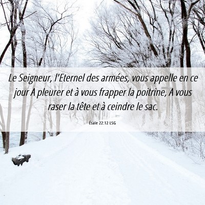 Picture 06 - Ésaïe 22:12 LSG - Le Seigneur, l'Eternel des armées, vous appelle - Bible Verse Picture