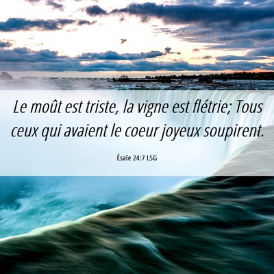Picture 06 - Ésaïe 24:7 LSG - Le moût est triste, la vigne est flétrie; Tous - Bible Verse Picture