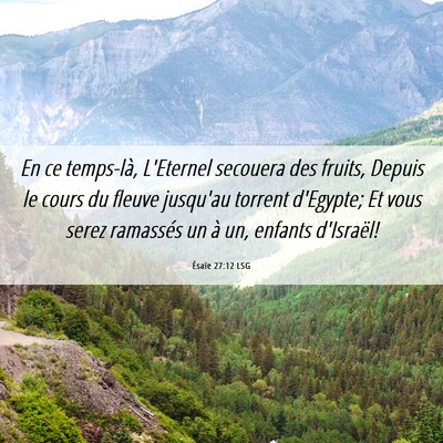 Picture 06 - Ésaïe 27:12 LSG - En ce temps-là, L'Eternel secouera des fruits, - Bible Verse Picture