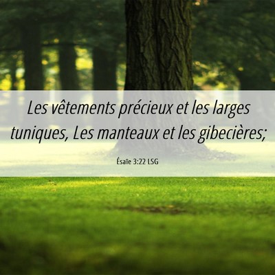 Picture 06 - Ésaïe 3:22 LSG - Les vêtements précieux et les larges tuniques, - Bible Verse Picture