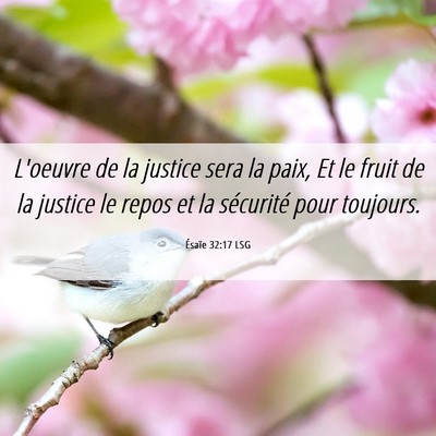 Picture 06 - Ésaïe 32:17 LSG - L'oeuvre de la justice sera la paix, Et le fruit - Bible Verse Picture