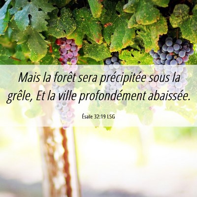 Picture 06 - Ésaïe 32:19 LSG - Mais la forêt sera précipitée sous la grêle, - Bible Verse Picture