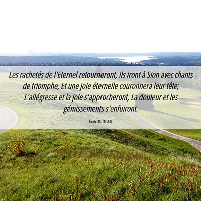 Picture 06 - Ésaïe 35:10 LSG - Les rachetés de l'Eternel retourneront, Ils - Bible Verse Picture
