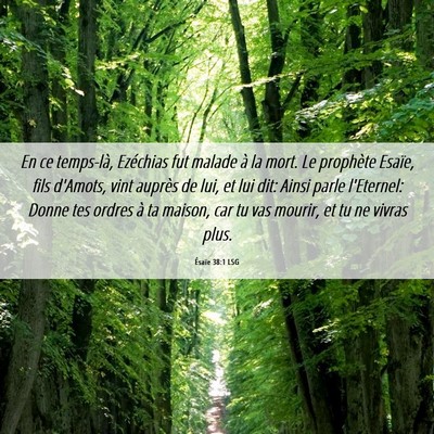 Picture 06 - Ésaïe 38:1 LSG - En ce temps-là, Ezéchias fut malade à la mort. - Bible Verse Picture