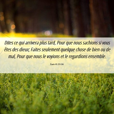 Picture 06 - Ésaïe 41:23 LSG - Dites ce qui arrivera plus tard, Pour que nous - Bible Verse Picture