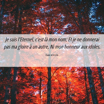 Picture 06 - Ésaïe 42:8 LSG - Je suis l'Eternel, c'est là mon nom; Et je ne - Bible Verse Picture