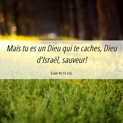Picture 06 - Ésaïe 45:15 LSG - Mais tu es un Dieu qui te caches, Dieu d'Israël, - Bible Verse Picture