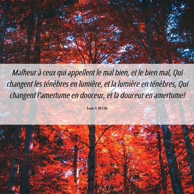 Picture 06 - Ésaïe 5:20 LSG - Malheur à ceux qui appellent le mal bien, et le - Bible Verse Picture