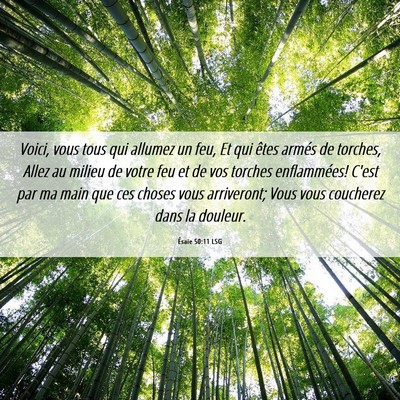 Picture 06 - Ésaïe 50:11 LSG - Voici, vous tous qui allumez un feu, Et qui êtes - Bible Verse Picture