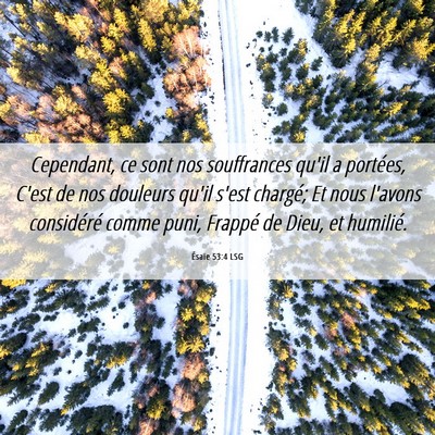 Picture 06 - Ésaïe 53:4 LSG - Cependant, ce sont nos souffrances qu'il a - Bible Verse Picture