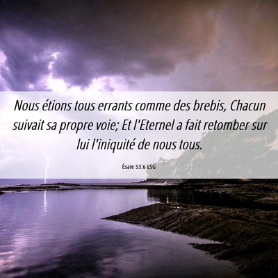 Picture 06 - Ésaïe 53:6 LSG - Nous étions tous errants comme des brebis, - Bible Verse Picture
