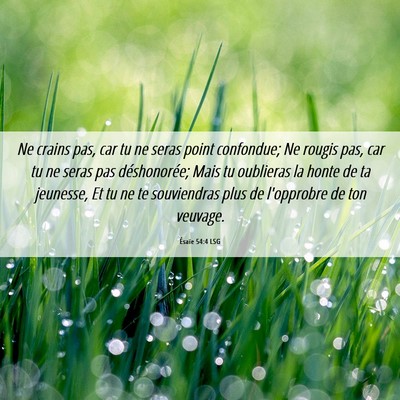 Picture 06 - Ésaïe 54:4 LSG - Ne crains pas, car tu ne seras point confondue; - Bible Verse Picture