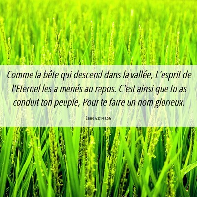 Picture 06 - Ésaïe 63:14 LSG - Comme la bête qui descend dans la vallée, - Bible Verse Picture