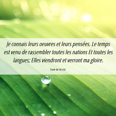 Picture 06 - Ésaïe 66:18 LSG - Je connais leurs oeuvres et leurs pensées. Le - Bible Verse Picture