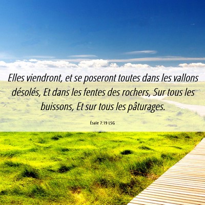 Picture 06 - Ésaïe 7:19 LSG - Elles viendront, et se poseront toutes dans les - Bible Verse Picture