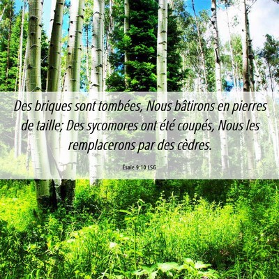 Picture 06 - Ésaïe 9:10 LSG - Des briques sont tombées, Nous bâtirons en - Bible Verse Picture