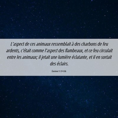 Picture 06 - Ézéchiel 1:13 LSG - L'aspect de ces animaux ressemblait à des - Bible Verse Picture