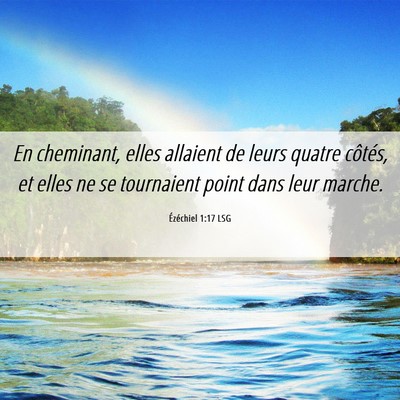 Picture 06 - Ézéchiel 1:17 LSG - En cheminant, elles allaient de leurs quatre - Bible Verse Picture
