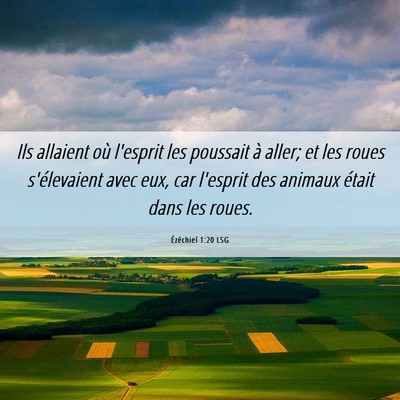 Picture 06 - Ézéchiel 1:20 LSG - Ils allaient où l'esprit les poussait à aller; - Bible Verse Picture