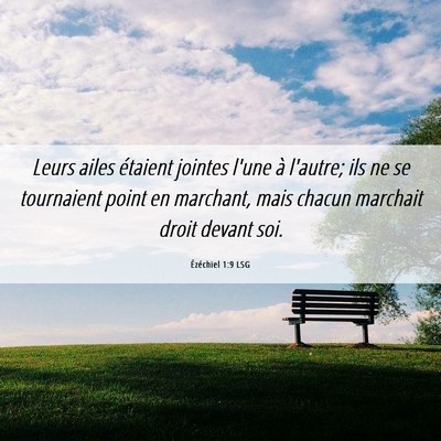 Picture 06 - Ézéchiel 1:9 LSG - Leurs ailes étaient jointes l'une à l'autre; - Bible Verse Picture