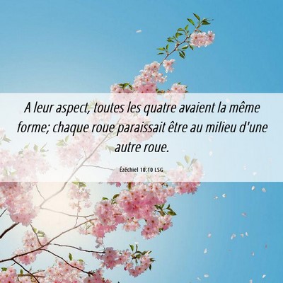 Picture 06 - Ézéchiel 10:10 LSG - A leur aspect, toutes les quatre avaient la même - Bible Verse Picture