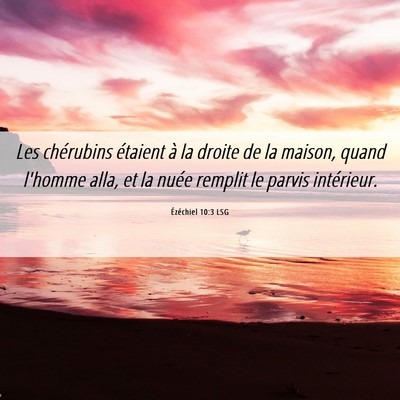 Picture 06 - Ézéchiel 10:3 LSG - Les chérubins étaient à la droite de la - Bible Verse Picture