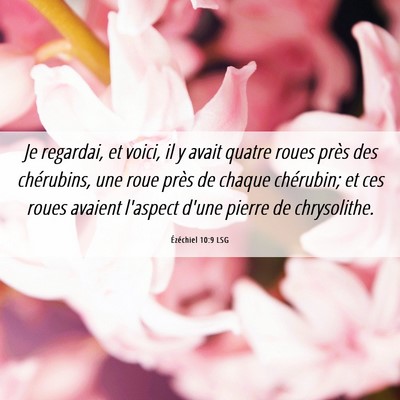 Picture 06 - Ézéchiel 10:9 LSG - Je regardai, et voici, il y avait quatre roues - Bible Verse Picture