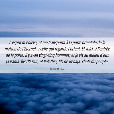 Picture 06 - Ézéchiel 11:1 LSG - L'esprit m'enleva, et me transporta à la porte - Bible Verse Picture