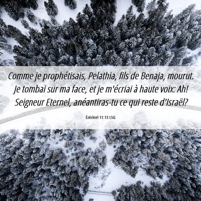 Picture 06 - Ézéchiel 11:13 LSG - Comme je prophétisais, Pelathia, fils de Benaja, - Bible Verse Picture