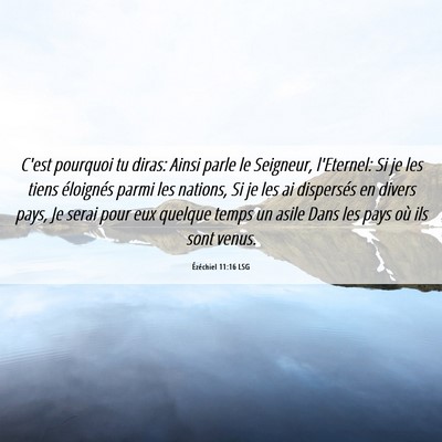 Picture 06 - Ézéchiel 11:16 LSG - C'est pourquoi tu diras: Ainsi parle le Seigneur, - Bible Verse Picture