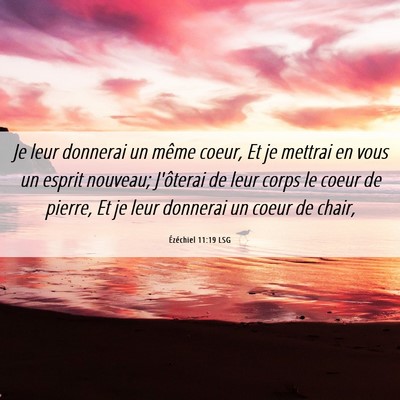 Picture 06 - Ézéchiel 11:19 LSG - Je leur donnerai un même coeur, Et je mettrai en - Bible Verse Picture