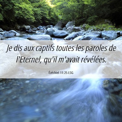 Picture 06 - Ézéchiel 11:25 LSG - Je dis aux captifs toutes les paroles de - Bible Verse Picture