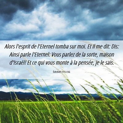 Picture 06 - Ézéchiel 11:5 LSG - Alors l'esprit de l'Eternel tomba sur moi. Et il - Bible Verse Picture
