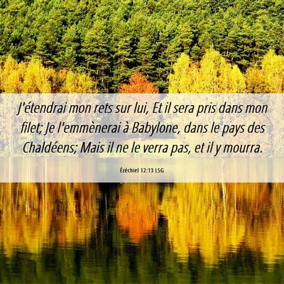 Picture 06 - Ézéchiel 12:13 LSG - J'étendrai mon rets sur lui, Et il sera pris - Bible Verse Picture