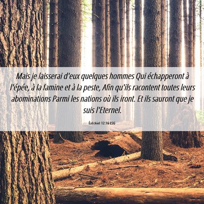 Picture 06 - Ézéchiel 12:16 LSG - Mais je laisserai d'eux quelques hommes Qui - Bible Verse Picture