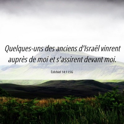 Picture 06 - Ézéchiel 14:1 LSG - Quelques-uns des anciens d'Israël vinrent - Bible Verse Picture