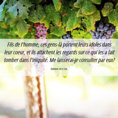 Picture 06 - Ézéchiel 14:3 LSG - Fils de l'homme, ces gens-là portent leurs - Bible Verse Picture