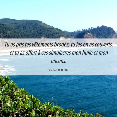 Picture 06 - Ézéchiel 16:18 LSG - Tu as pris tes vêtements brodés, tu les en as - Bible Verse Picture