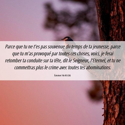 Picture 06 - Ézéchiel 16:43 LSG - Parce que tu ne t'es pas souvenue du temps de ta - Bible Verse Picture