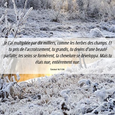 Picture 06 - Ézéchiel 16:7 LSG - Je t'ai multipliée par dix milliers, comme les - Bible Verse Picture