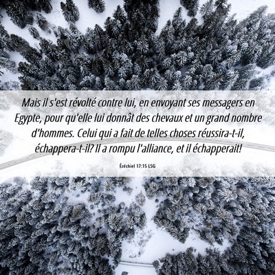 Picture 06 - Ézéchiel 17:15 LSG - Mais il s'est révolté contre lui, en envoyant - Bible Verse Picture