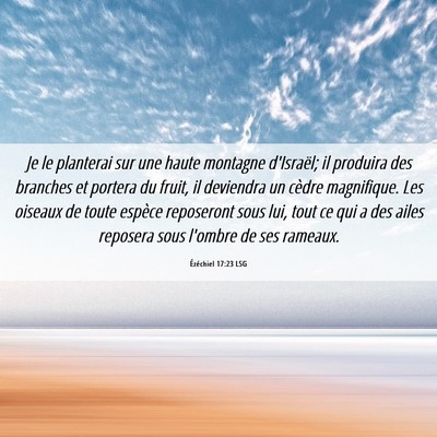 Picture 06 - Ézéchiel 17:23 LSG - Je le planterai sur une haute montagne d'Israël; - Bible Verse Picture