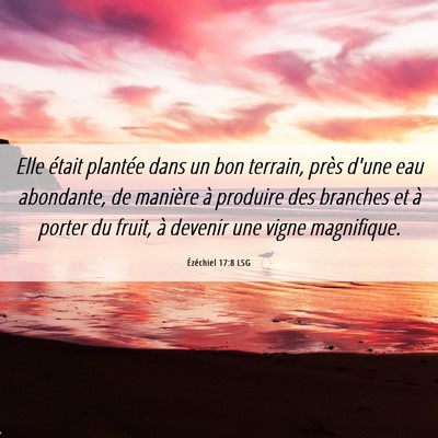 Picture 06 - Ézéchiel 17:8 LSG - Elle était plantée dans un bon terrain, près - Bible Verse Picture
