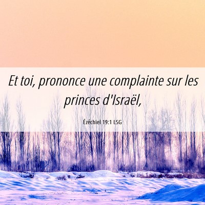 Picture 06 - Ézéchiel 19:1 LSG - Et toi, prononce une complainte sur les princes - Bible Verse Picture